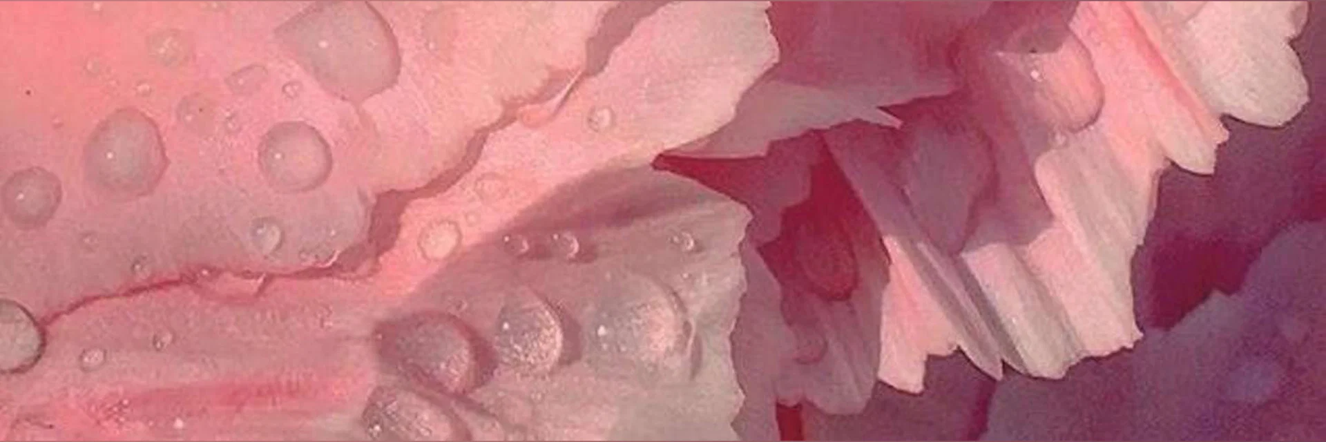 Natalie FREE π profile banner