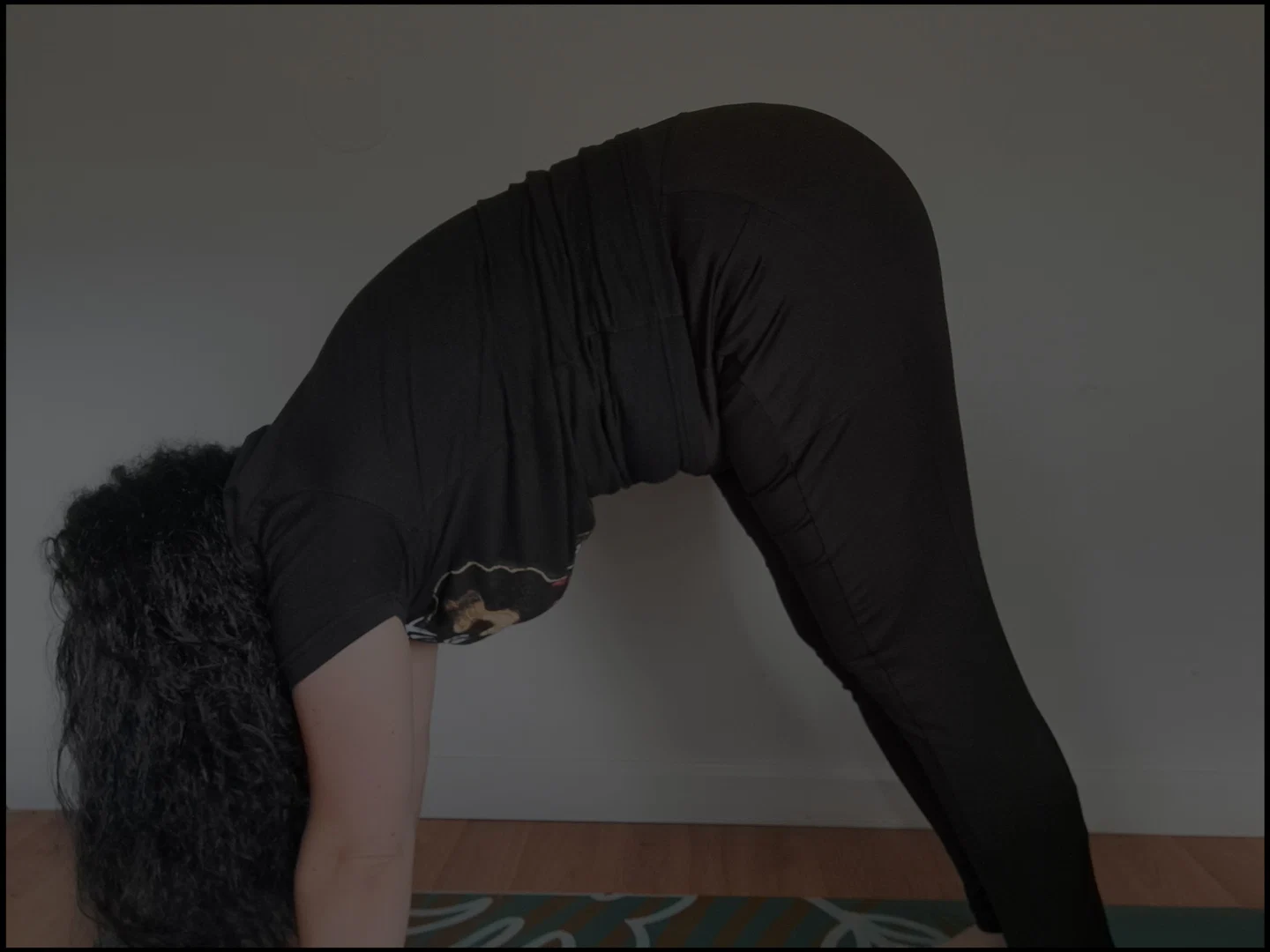 Lilly Rose profile banner