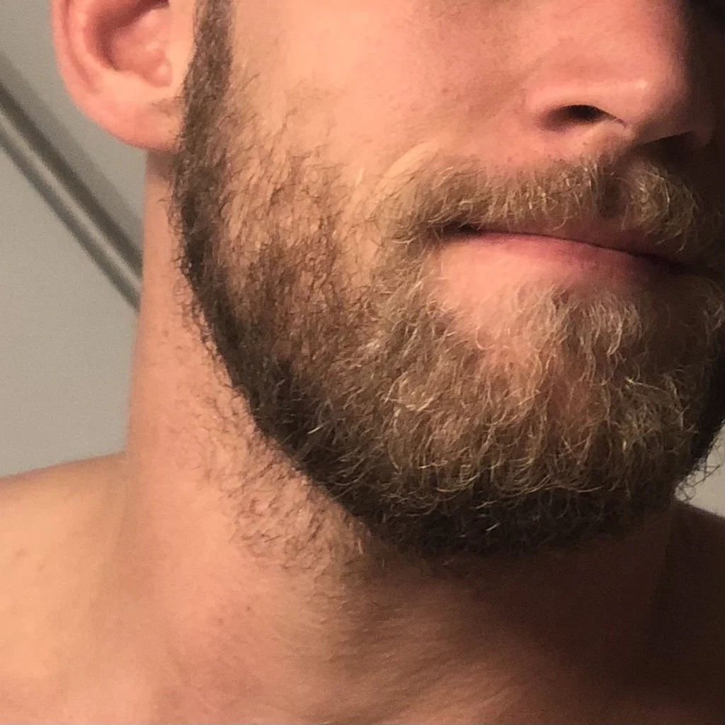 Vikingnextdoor's avatar