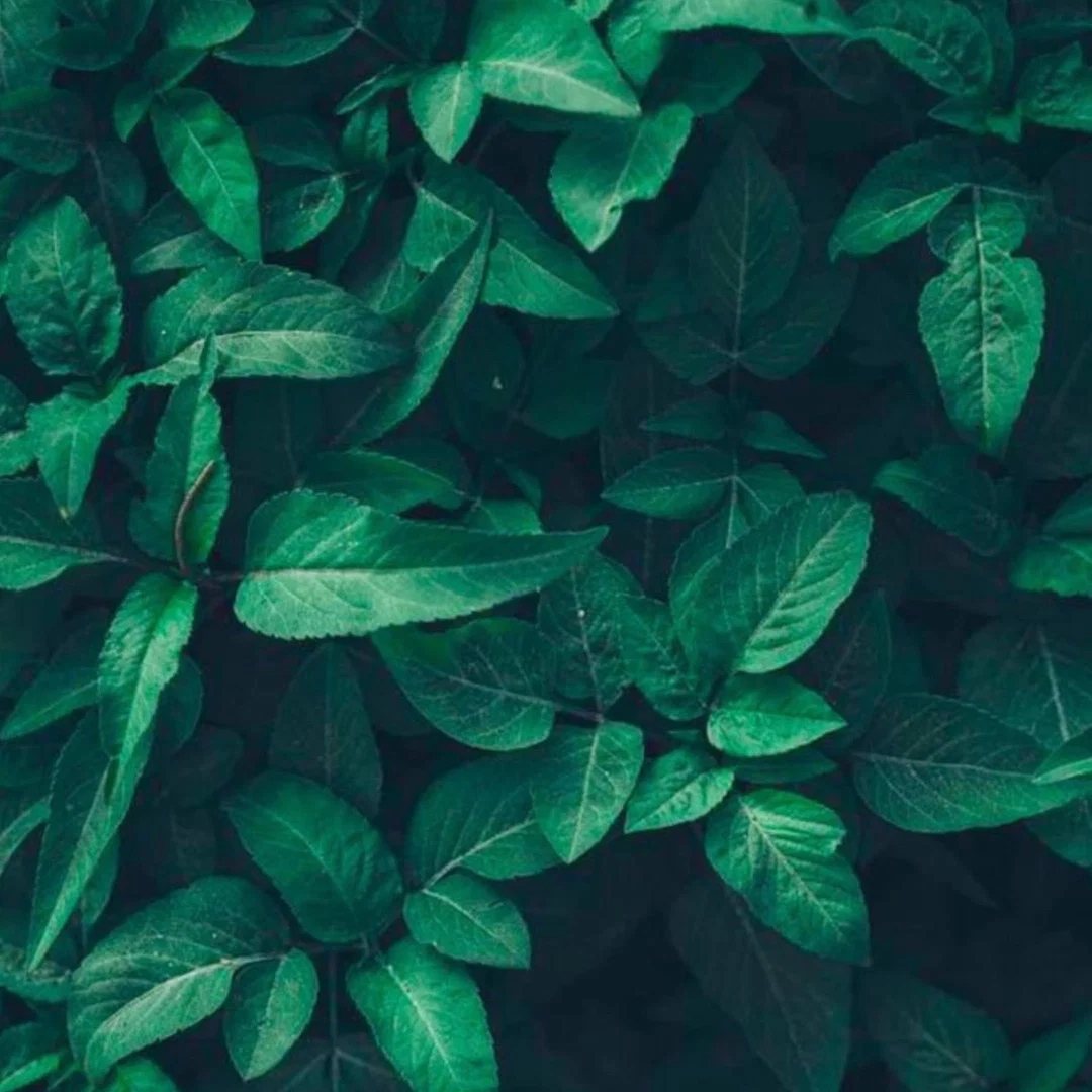 Love Ish profile banner