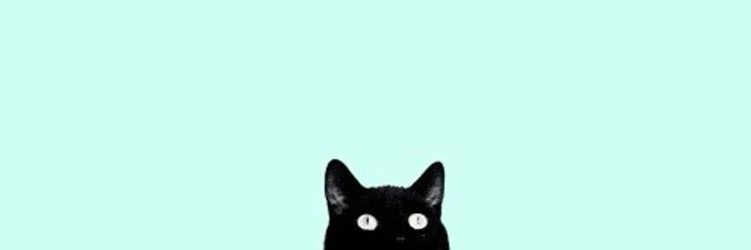 Phoenix 🐱 profile banner
