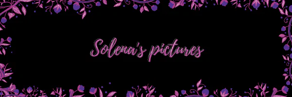 Solena profile banner