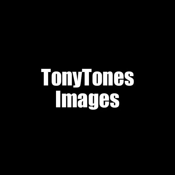 Tony Tones's avatar