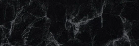 🕷 profile banner