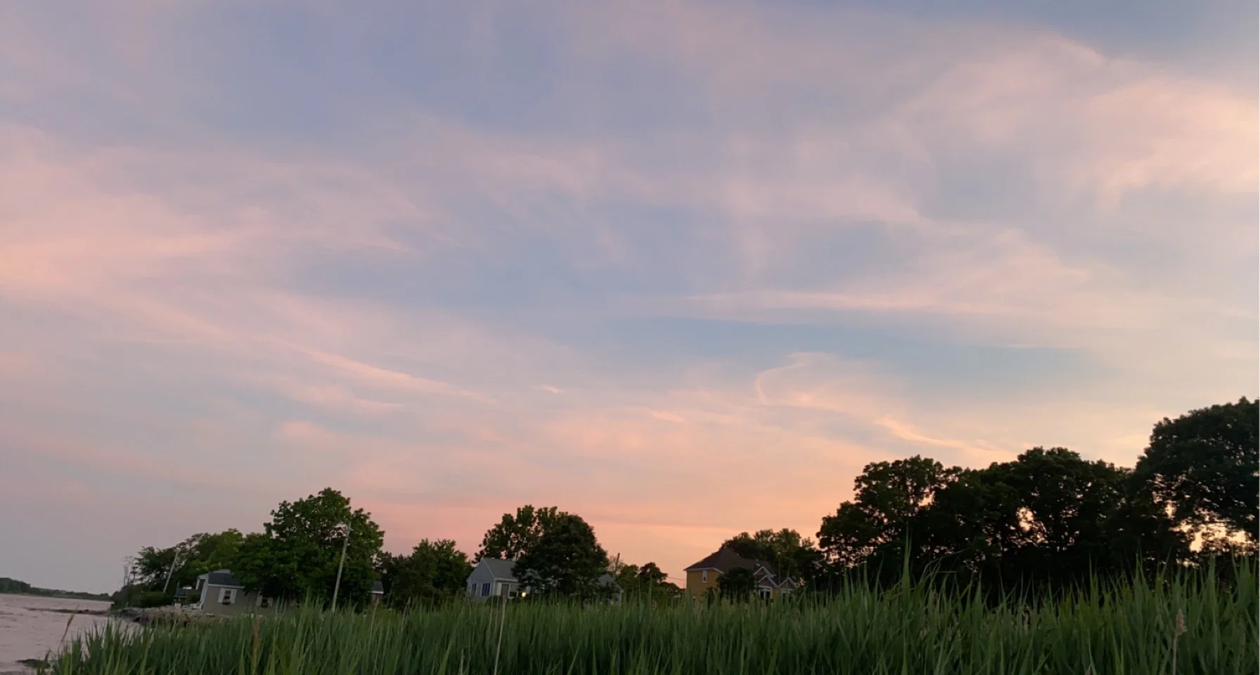 Strawberry profile banner