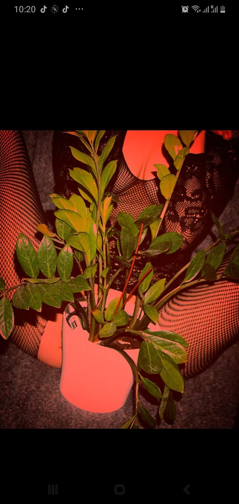 𝐿𝑒𝑡𝑀𝑒𝐵𝑒𝑇𝒉𝑒𝑂𝑛𝑒𝐹𝑜𝑟𝐴𝑙𝑙✅®️🔞🔝♀️♂️🎥📷🙊🙉👁👁's avatar