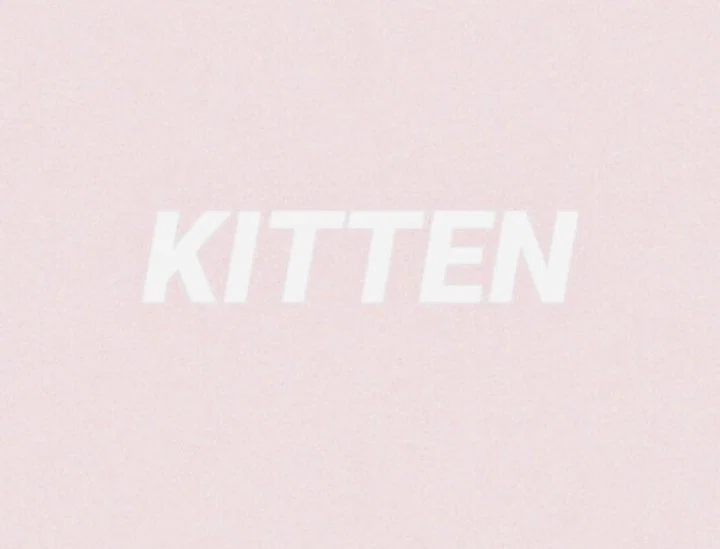 Kitten profile banner