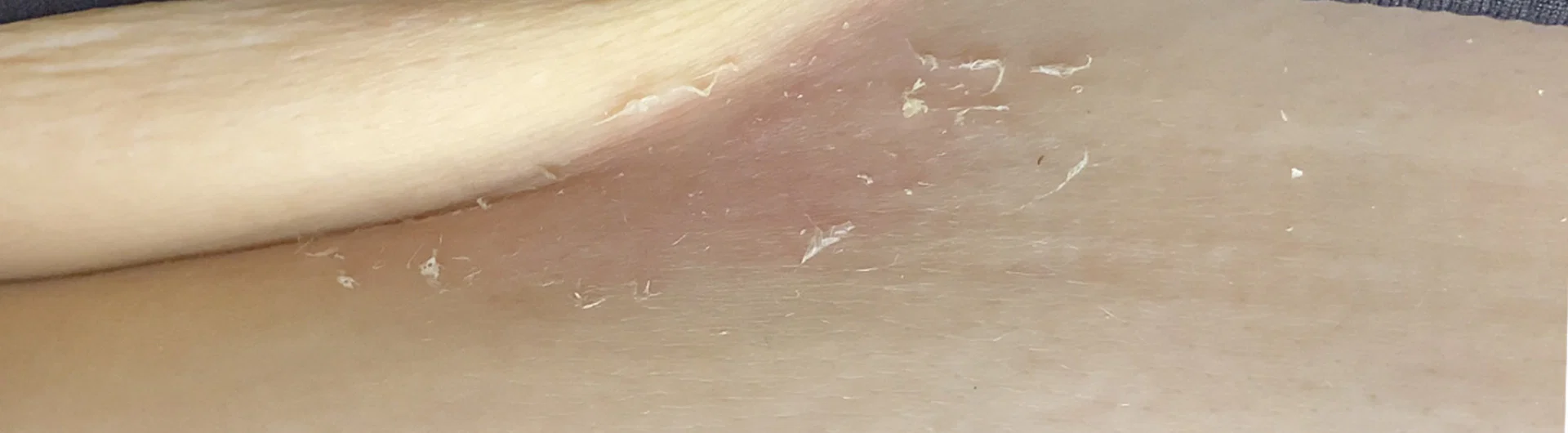 PickyPriscilla profile banner