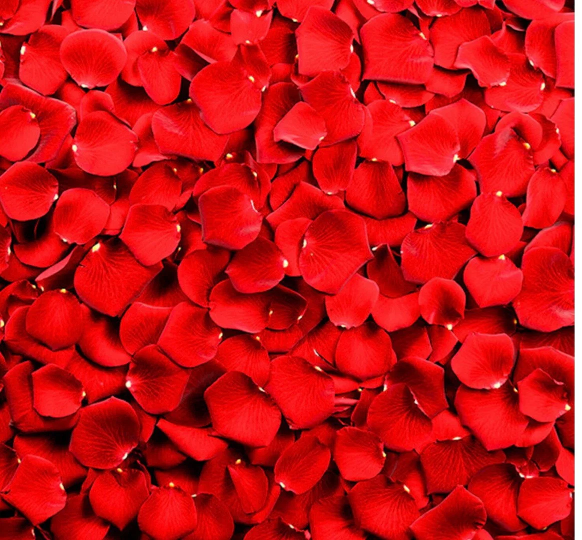 Leydi Honey profile banner