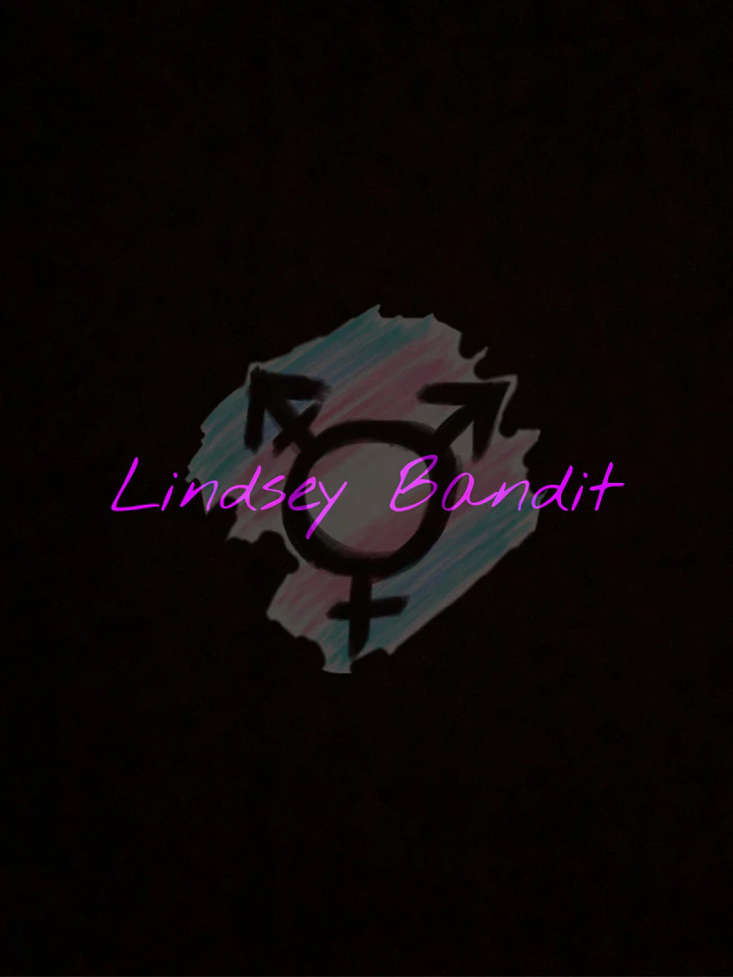 Lindsey Bandit π profile banner