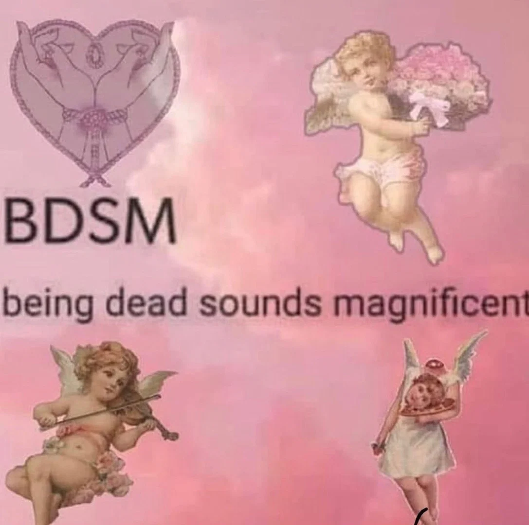 bbyvenuskitten profile banner