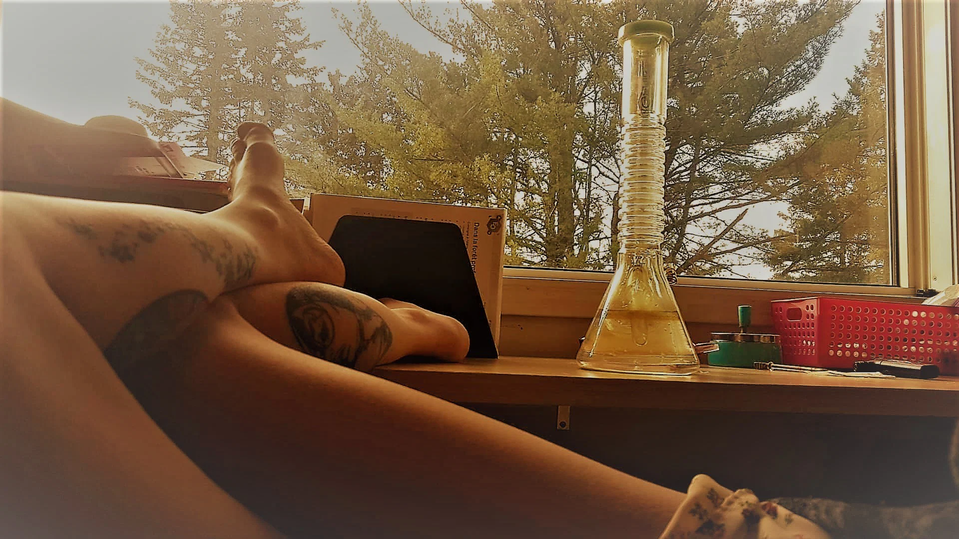DonnaLanePremiumXXX profile banner