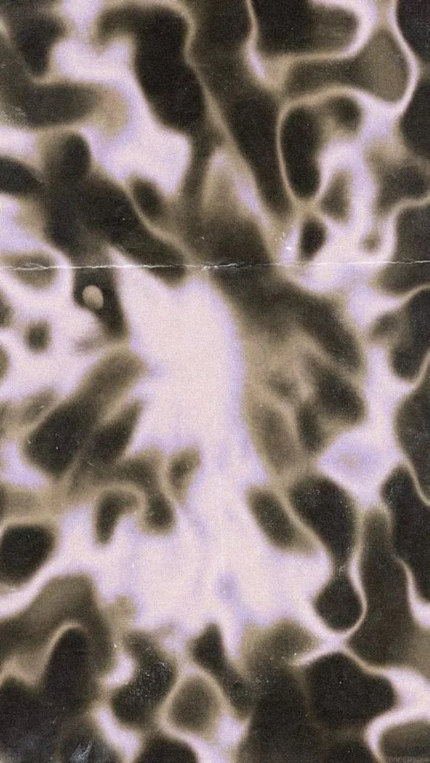 πͺππππ πΊπππππππ profile banner