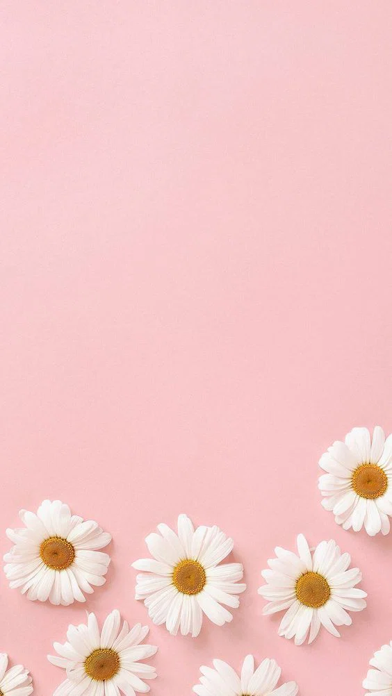 u146063342 profile banner