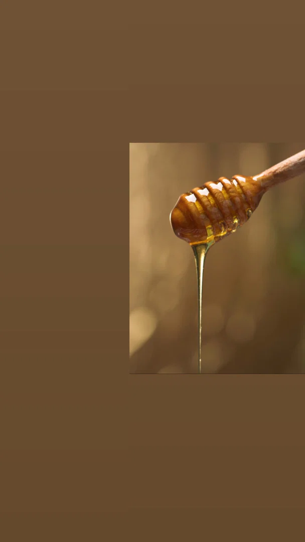 honey bunny profile banner