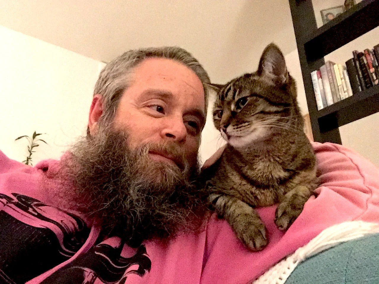 The Cat Dad profile banner