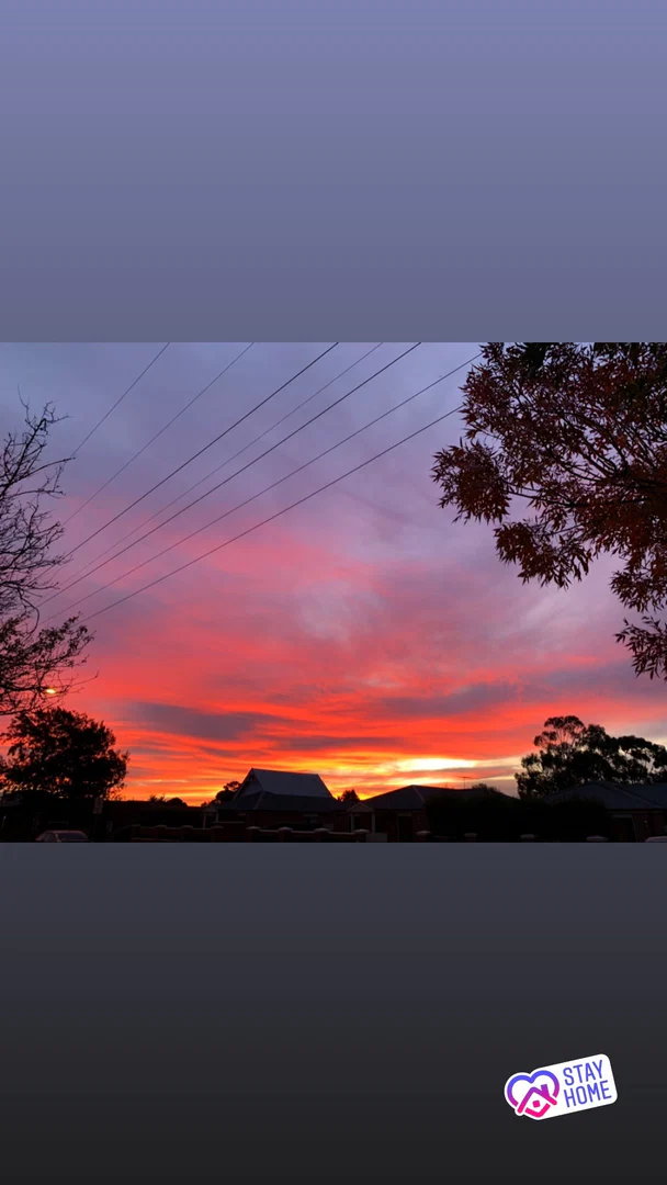 maaddison profile banner