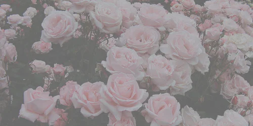 Angel baby profile banner