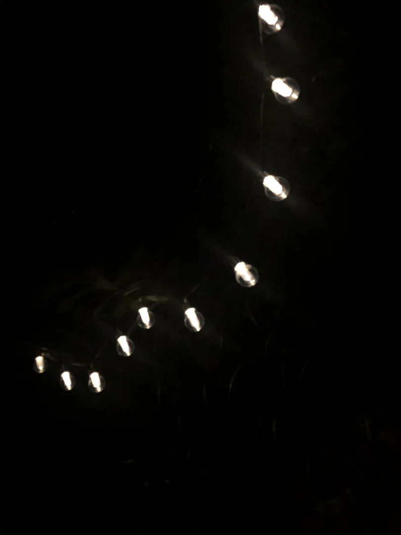Hattie profile banner