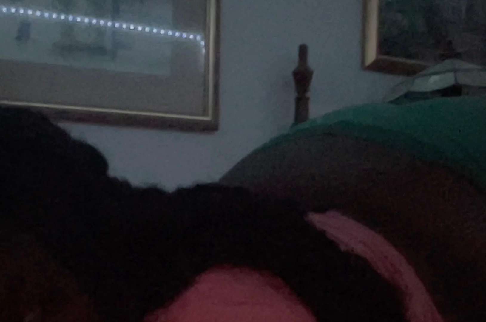 Bunni profile banner