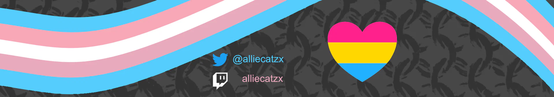 Allie Laine profile banner