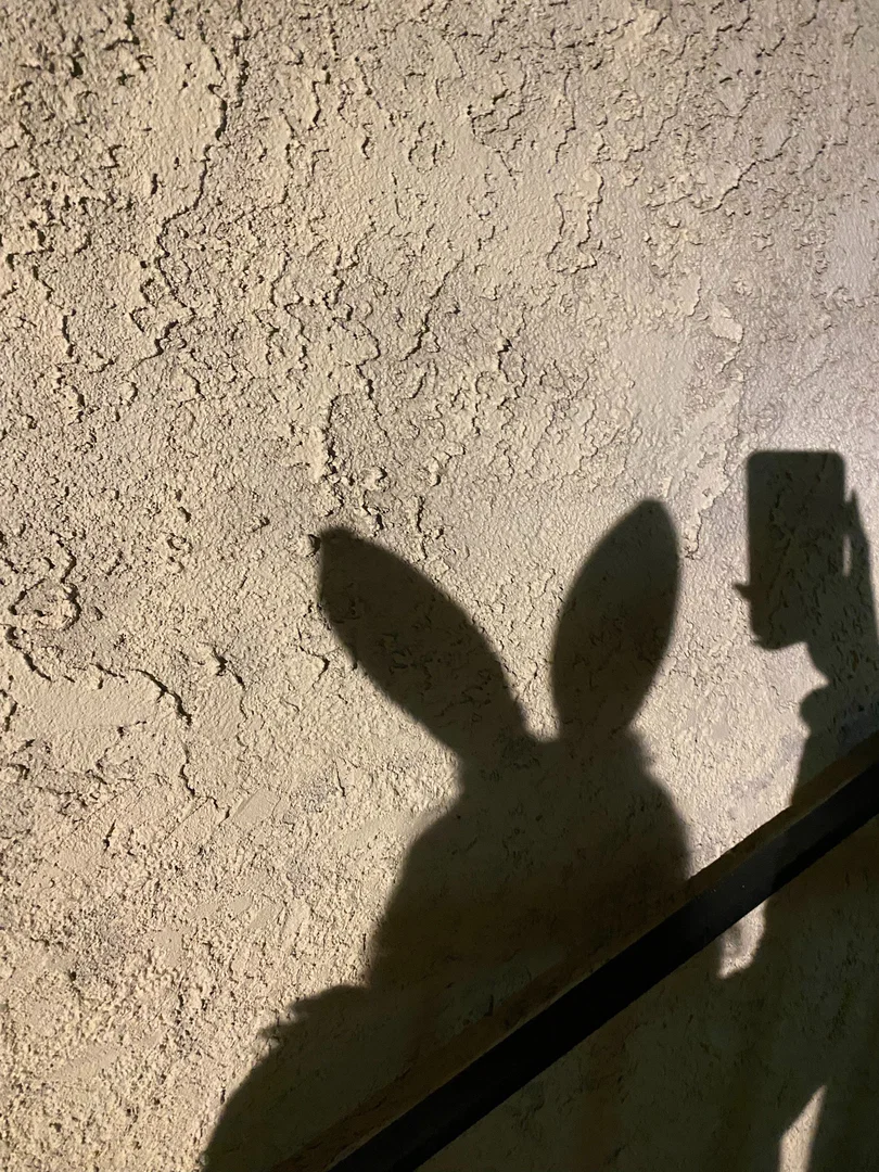petite bunny profile banner