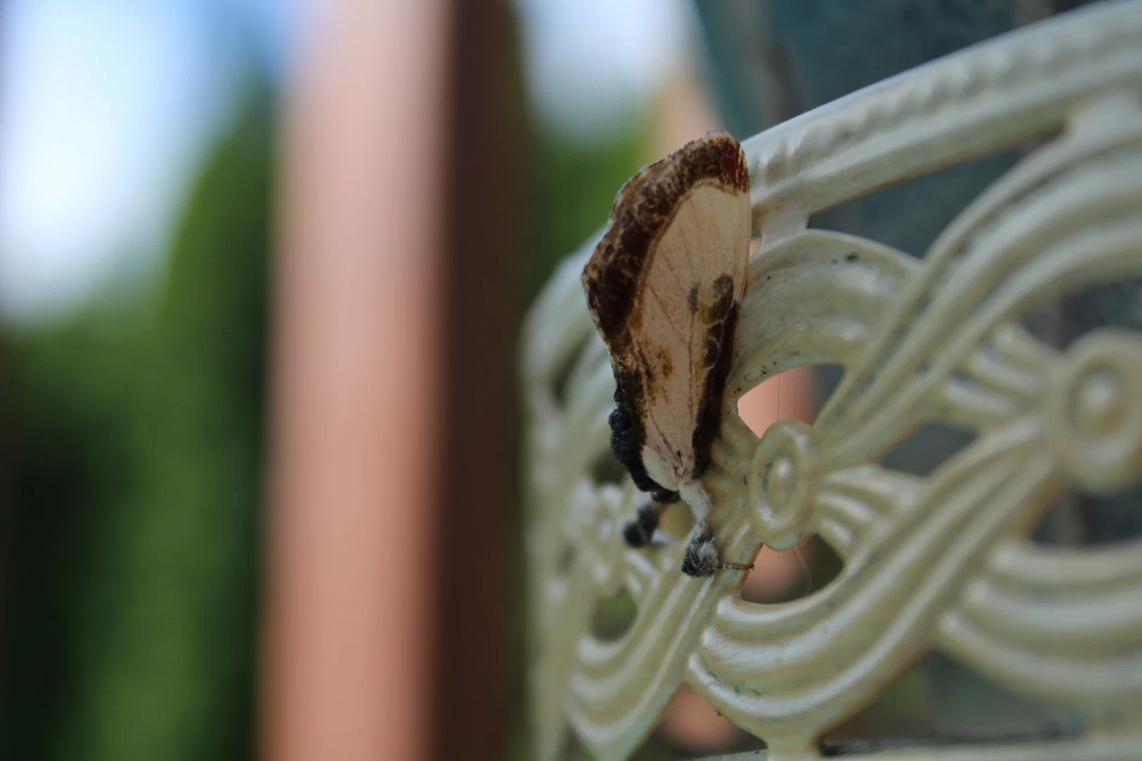 π€ profile banner