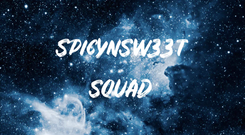 spicynsw33tcouple profile banner