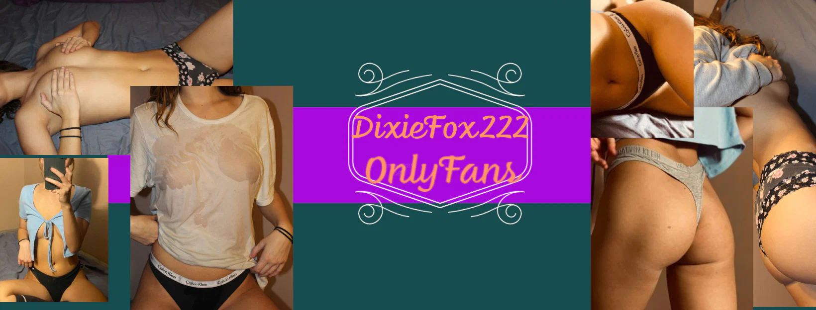 Dixie Fox profile banner