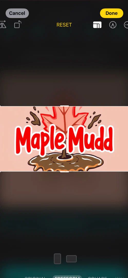 мαρℓє мυ∂∂ 🍁 profile banner