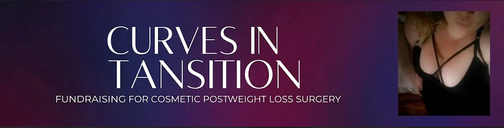 Curves In Transition profile banner