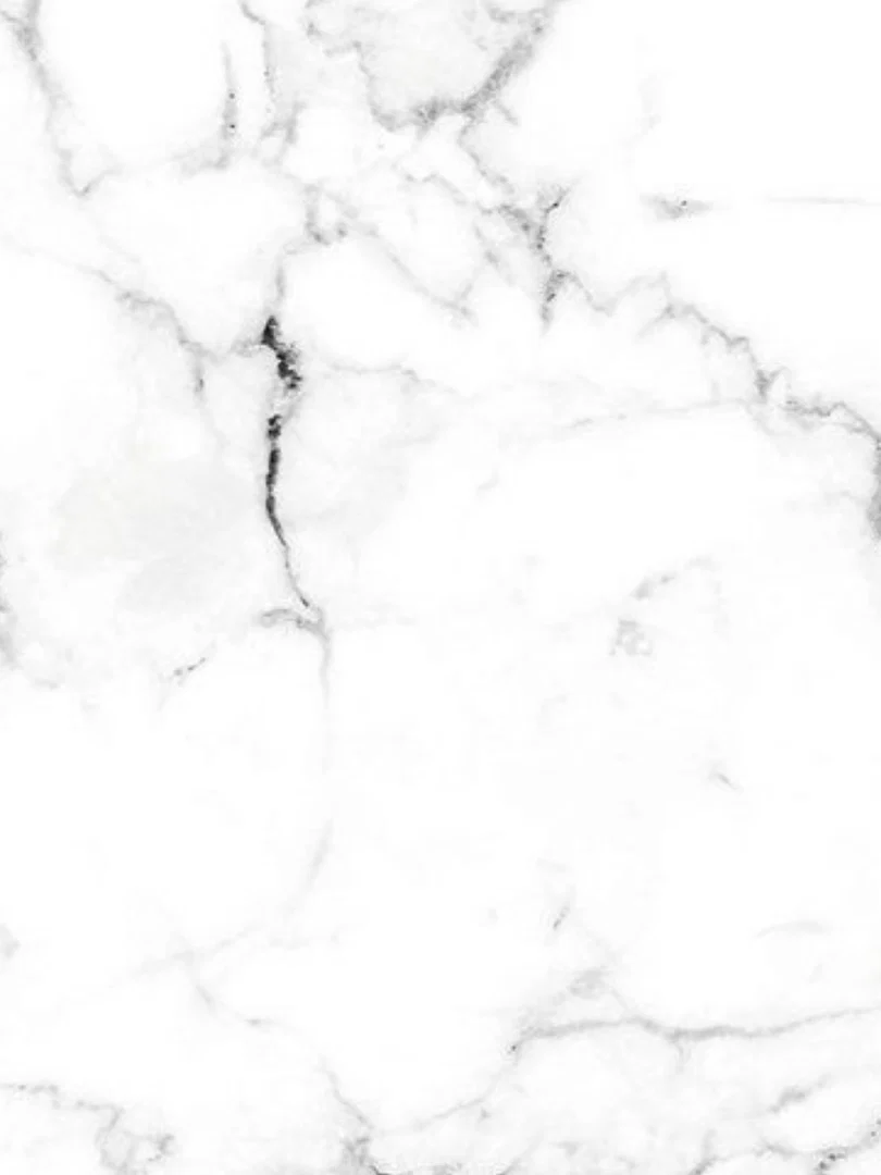 Sweet Bunny profile banner