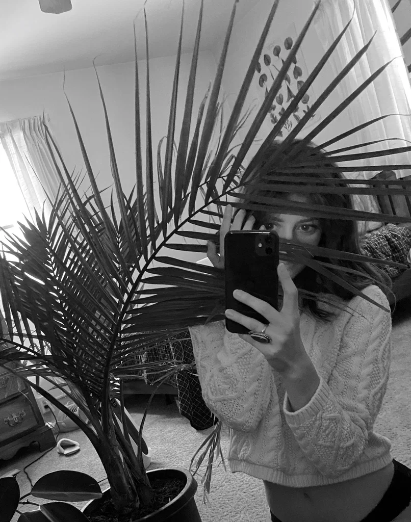 Nettle's avatar