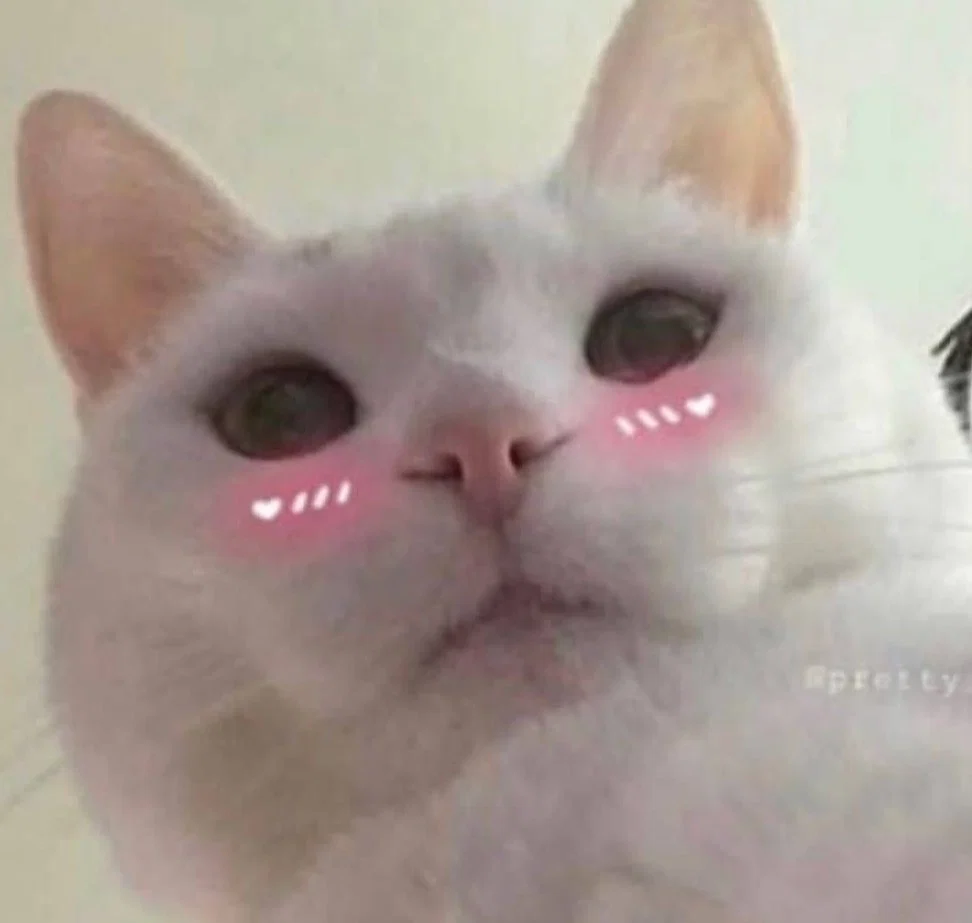abi ♡