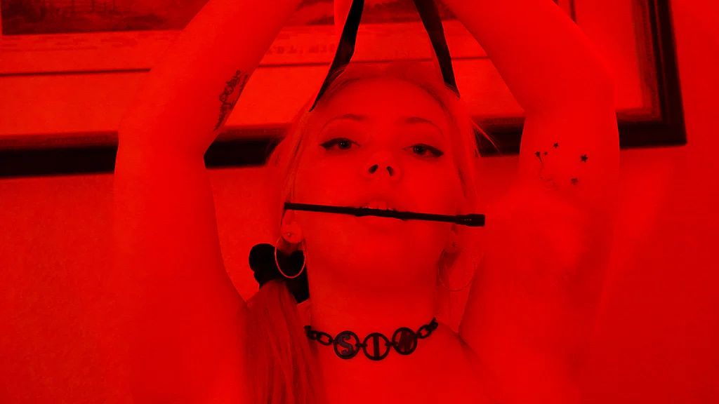 Luna Steele's avatar