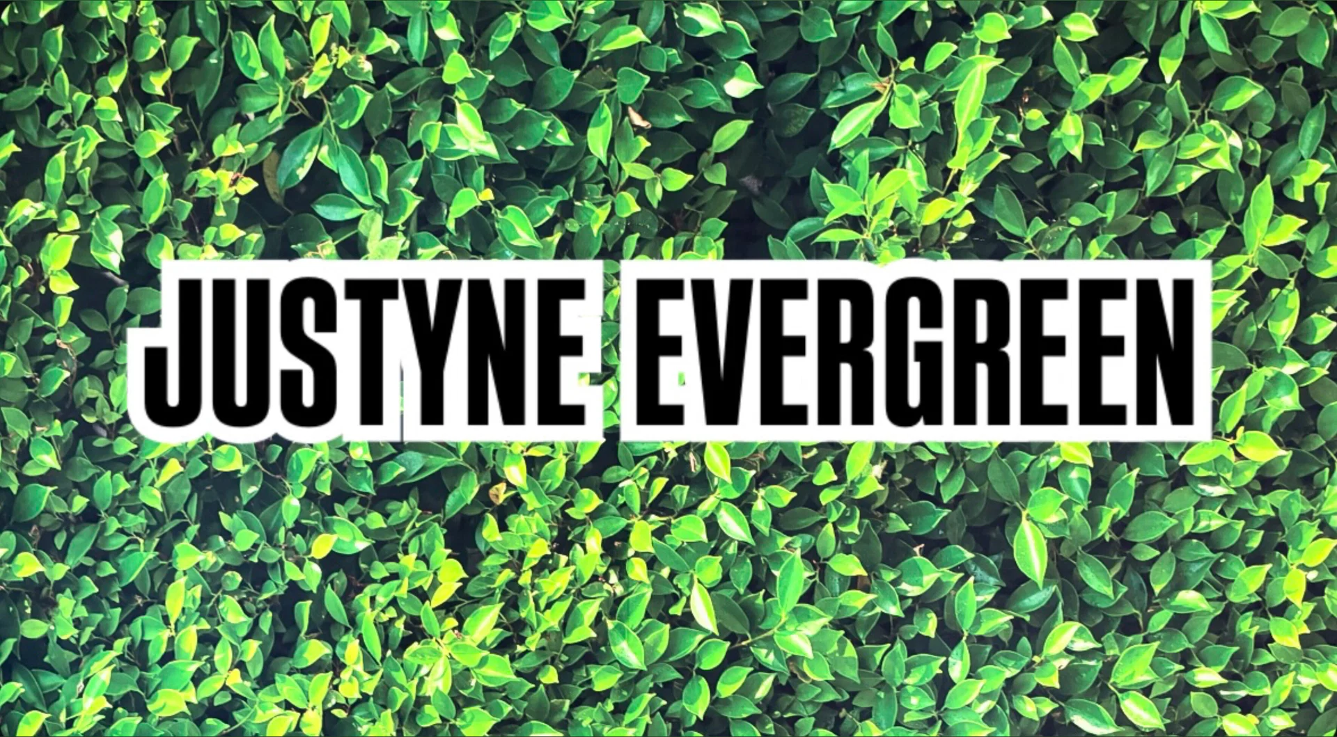Justyne Evergreen profile banner