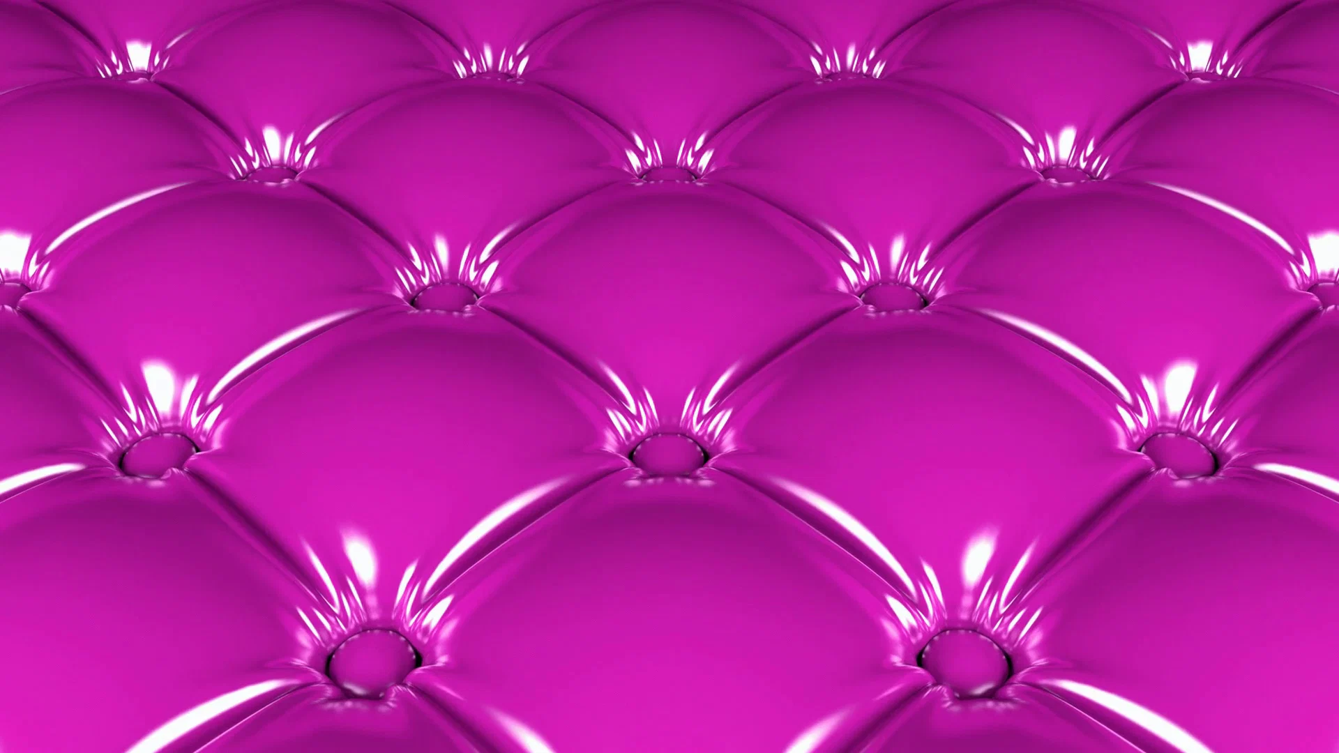 Dolly profile banner