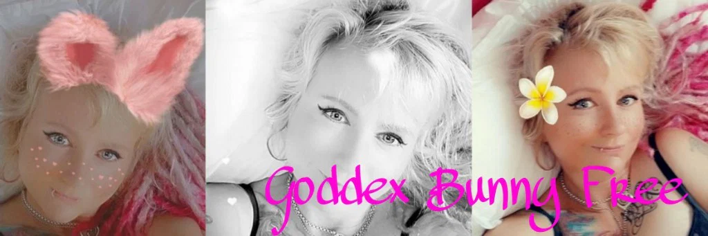 Goddex Bunny Free profile banner