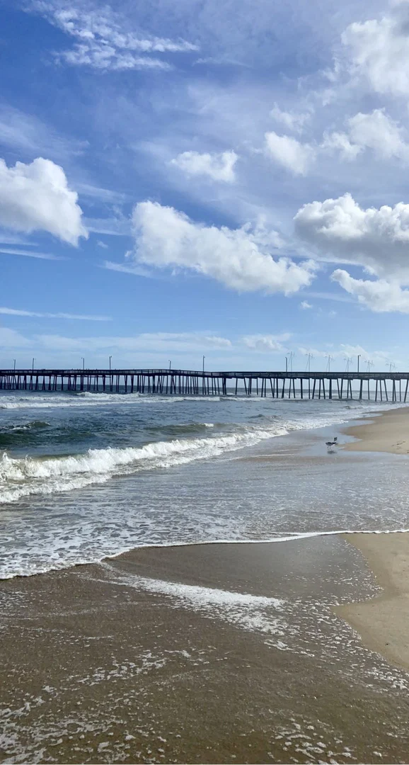 beach babeee profile banner