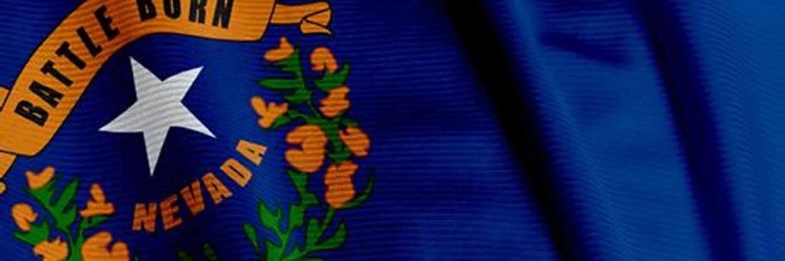 Ivy Nikole profile banner