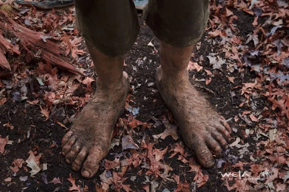 Hobbit Feet