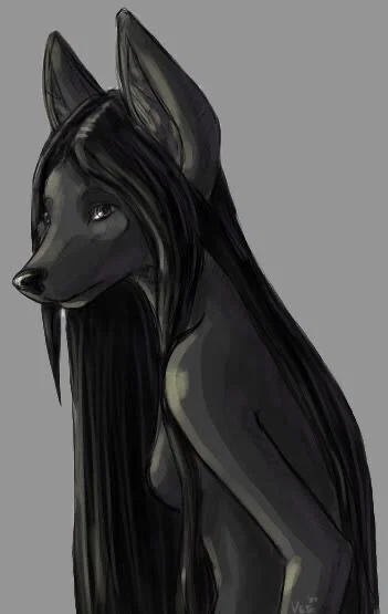 BingoTheWolf