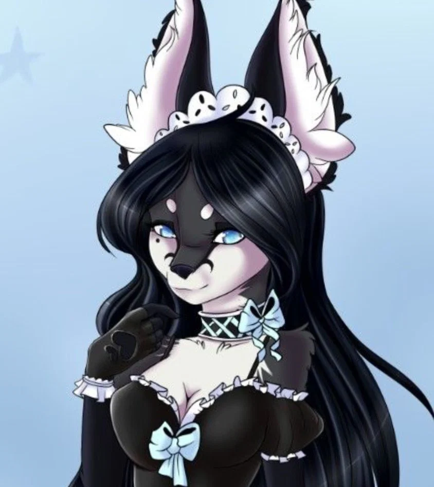BingoTheWolf profile banner