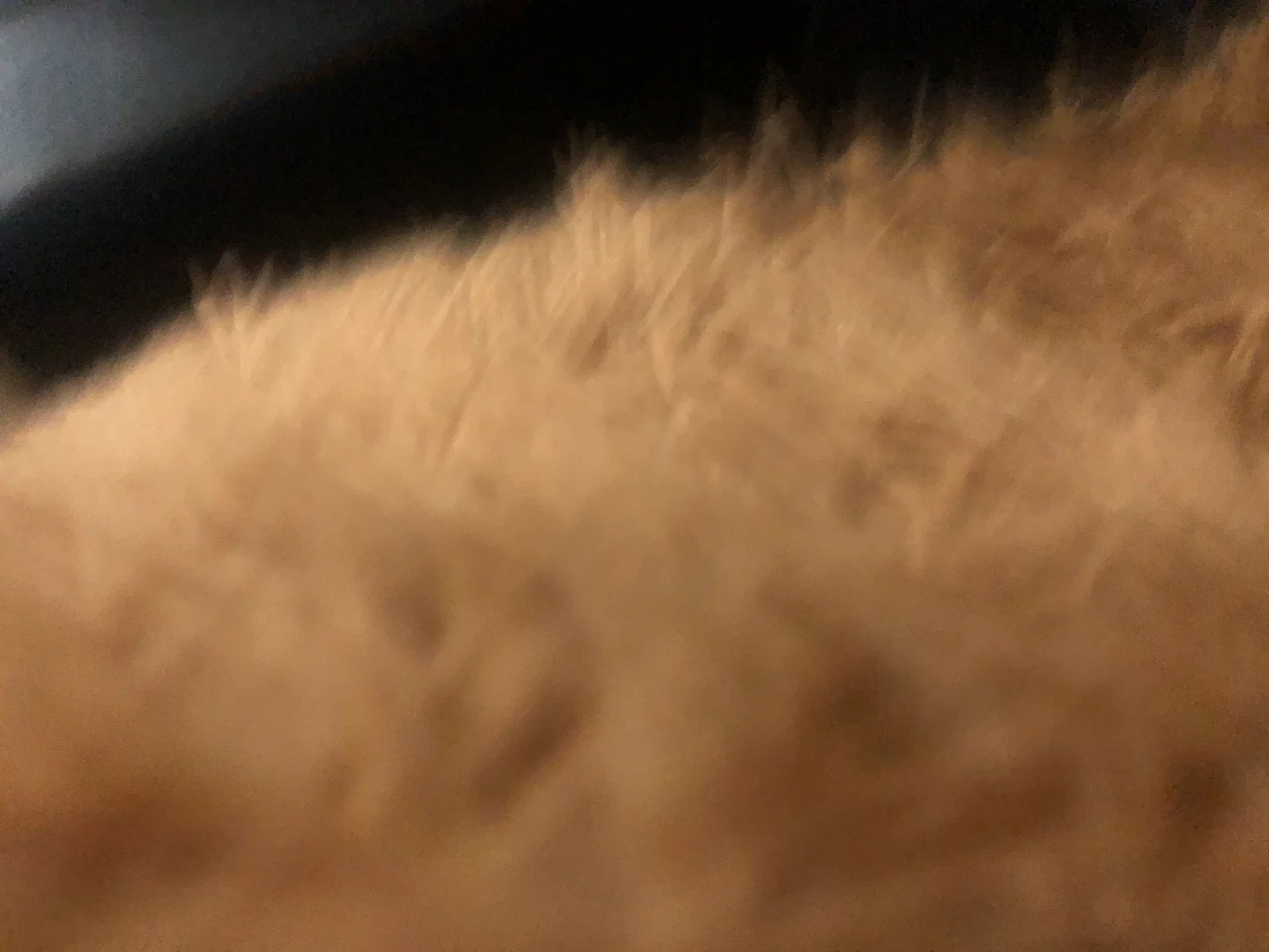 Ft profile banner