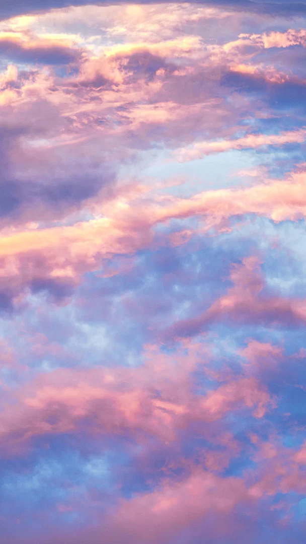Jenny profile banner