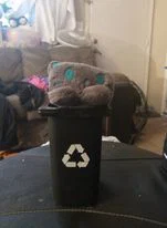 Katt profile banner