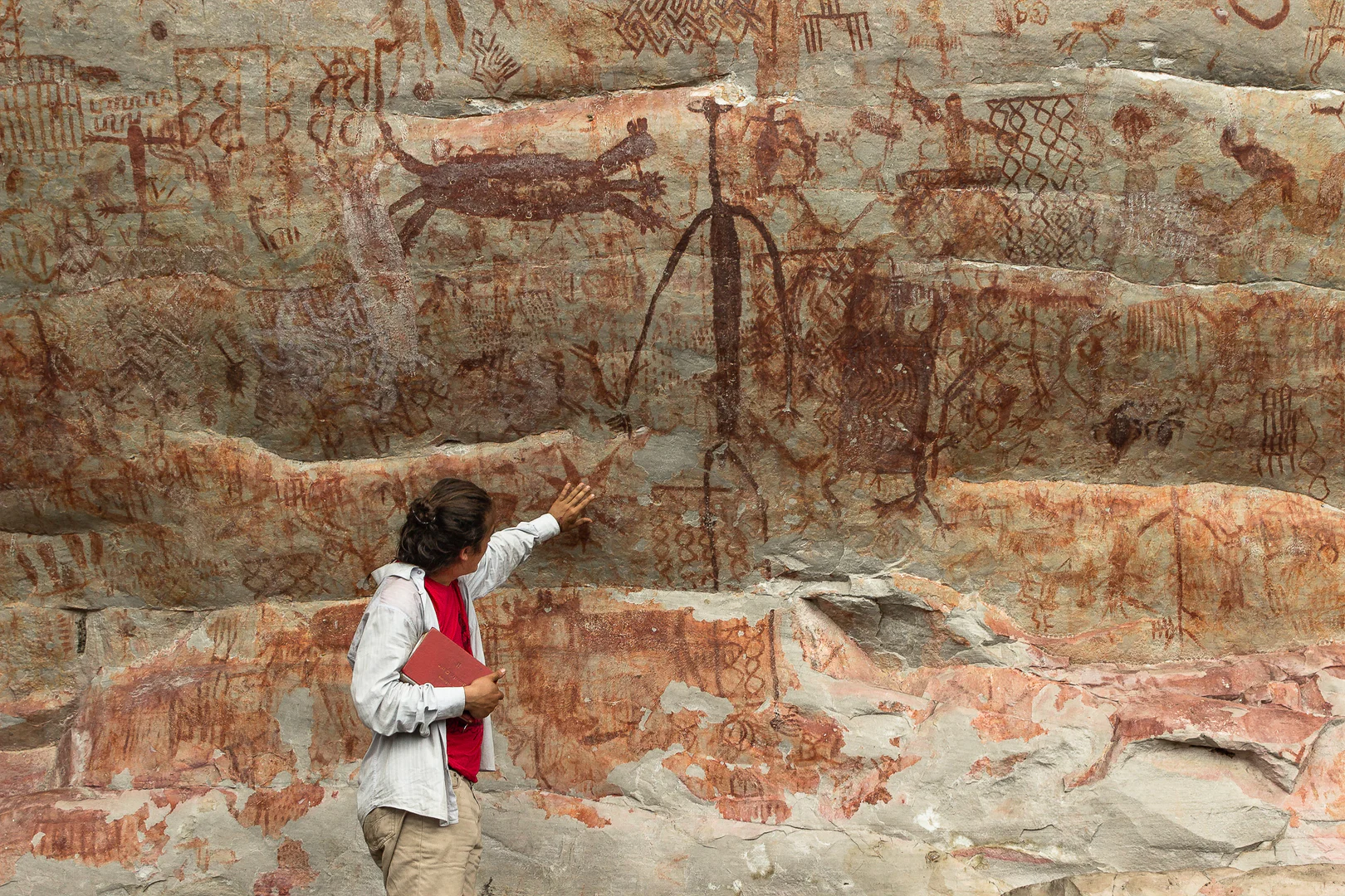 Archaeodidi profile banner