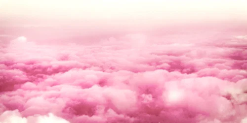 CuddlyBoy profile banner