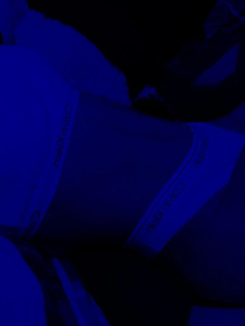 Iara Dominguez profile banner