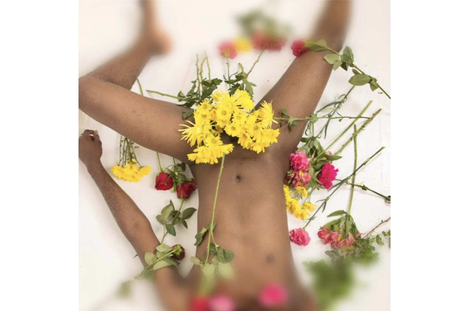 Official Blacchyniboi profile banner